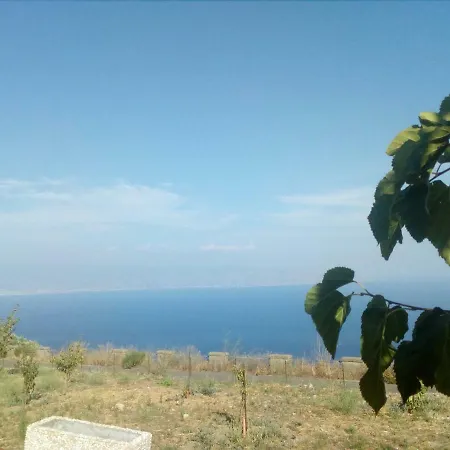 Ludofedefranci *